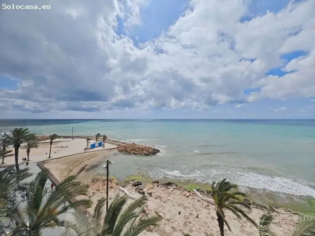 Apartamento 3 Dormitorios Torrevieja Paseo Marítimo