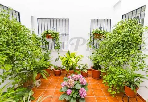 Piso 2 Dormitorios en Venta Canillas de Albaida Espaa