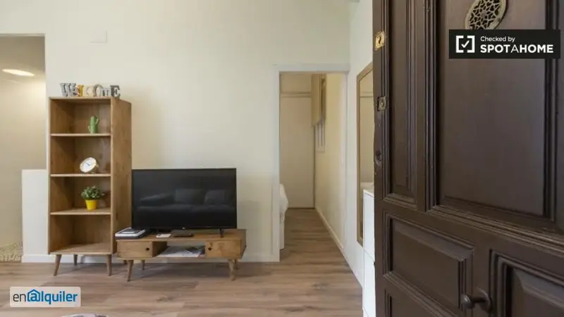 Apartamento Malasaña 1 Dormitorio Estudiantes Clasico