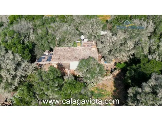 Finca Encanto Mallorquin Ses Salines 15000m2 Casa 100m2