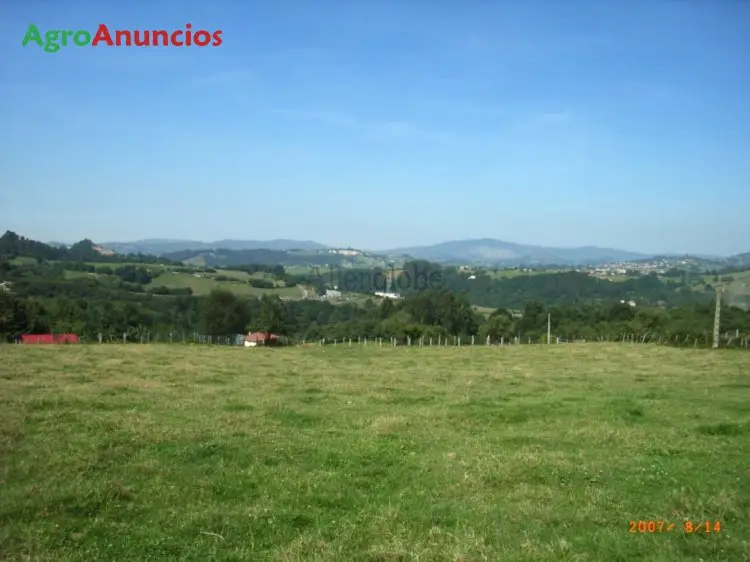 Venta Parcela 4 Chalets Unifamiliares Asturias
