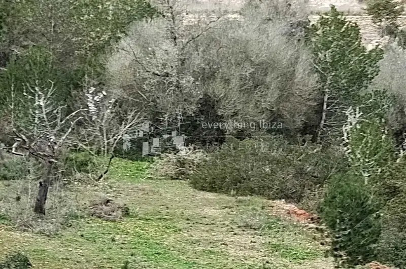 Finca Rústica en Venta San Jose Ibiza Cerca Playa