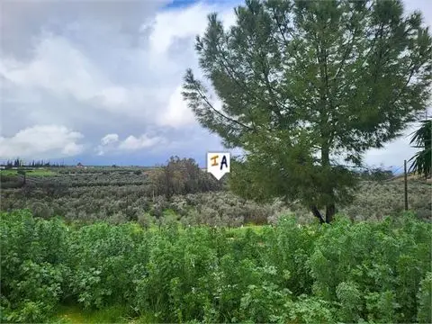Casa Rural 3 Dormitorios Casariche Sevilla