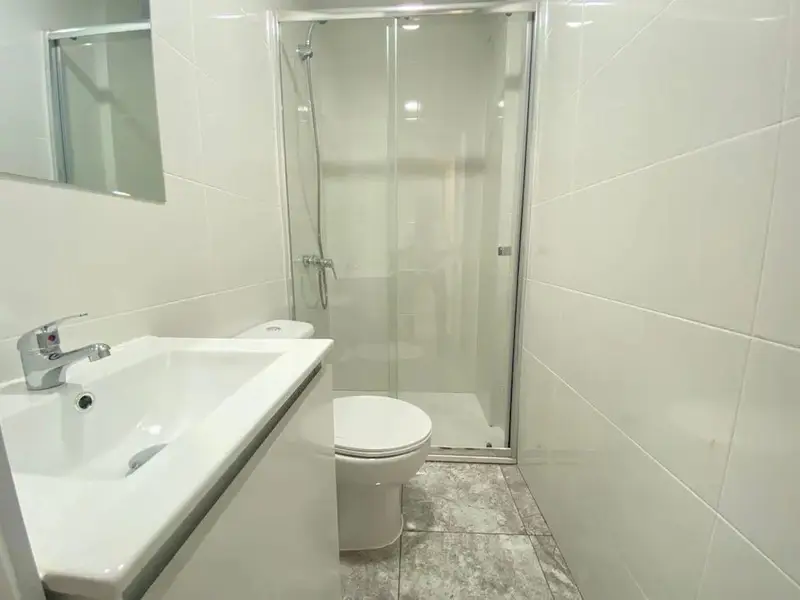 Apartamento 1 Dormitorio Madrid 28041 Alquiler