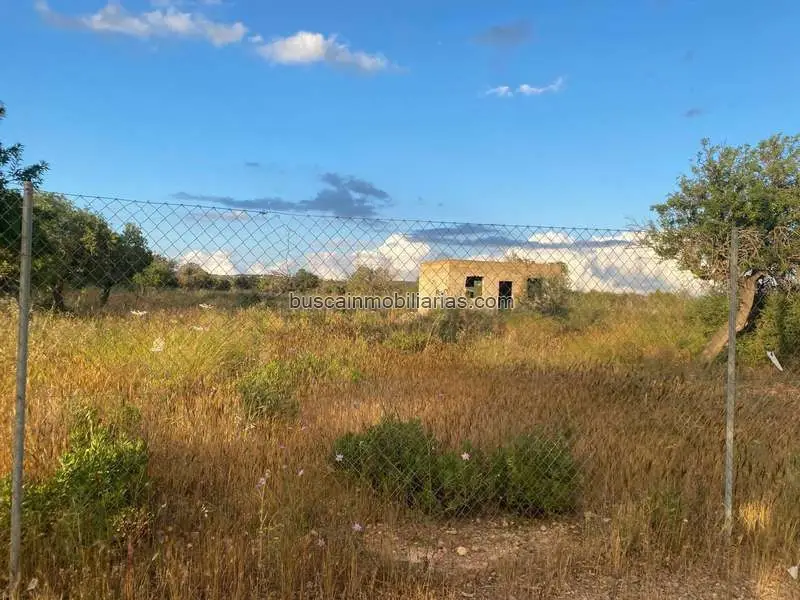 Solar Rustico Edificable Marratxi Son Ametler