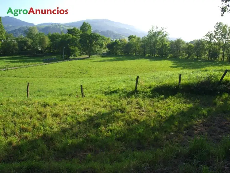 Venta  de Finca de pastos en Cantabria