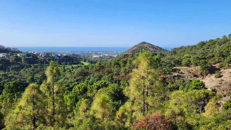 Terreno en Venta Benahavis Casa de Lujo Vistas al Mar