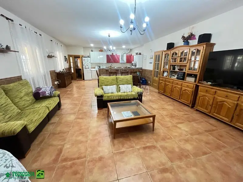 Chalet en Venta en Miguelturra 11000m2