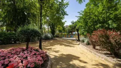 Piso en venta Alcalá la Real 190m2 4 dormitorios terraza