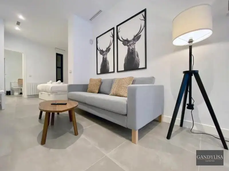 Apartamento La Latina Madrid Alta Rentabilidad Turistica