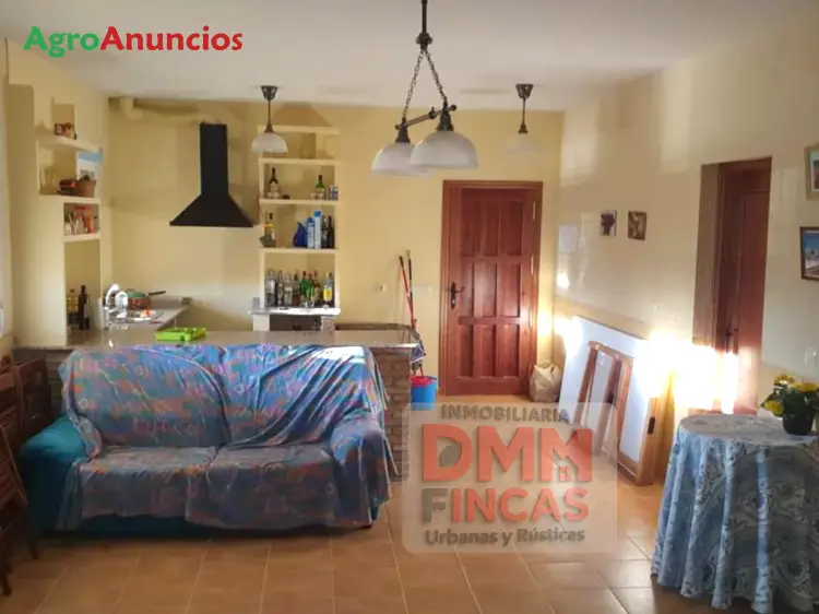Venta Finca Regadío Almendros Albacete 300 Hectareas