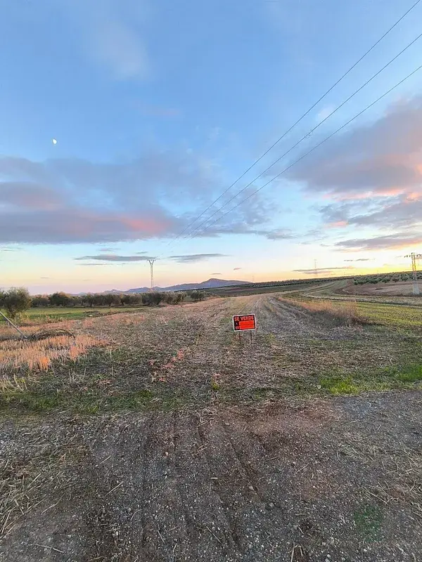 Finca Rustica en Venta Esparragalejo 085ha