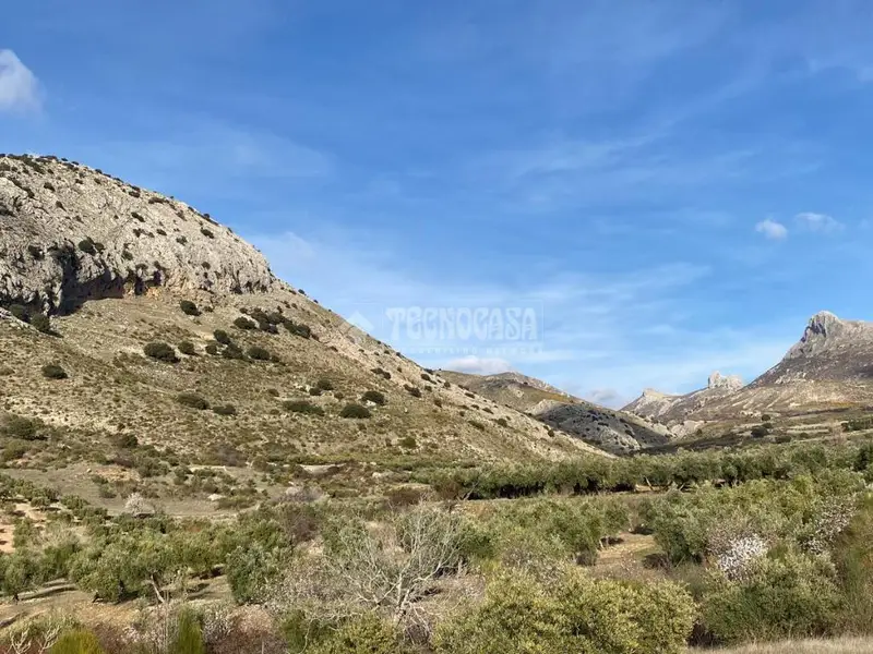 Terreno Rústico en Venta Cogollos Vega 9691m2