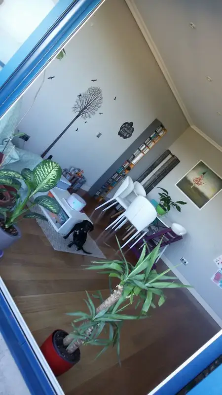 Habitación alquiler Majadahonda, España