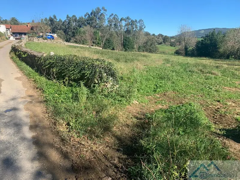 Parcela en Navajeda Entrambasaguas 3112m2