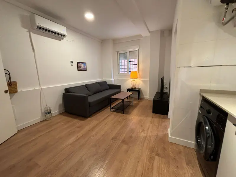 Piso 1 Dormitorio Málaga Centro Amueblado
