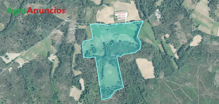 Venta  de Finca con proyecto para granja de gallinas camperas en Pontevedra