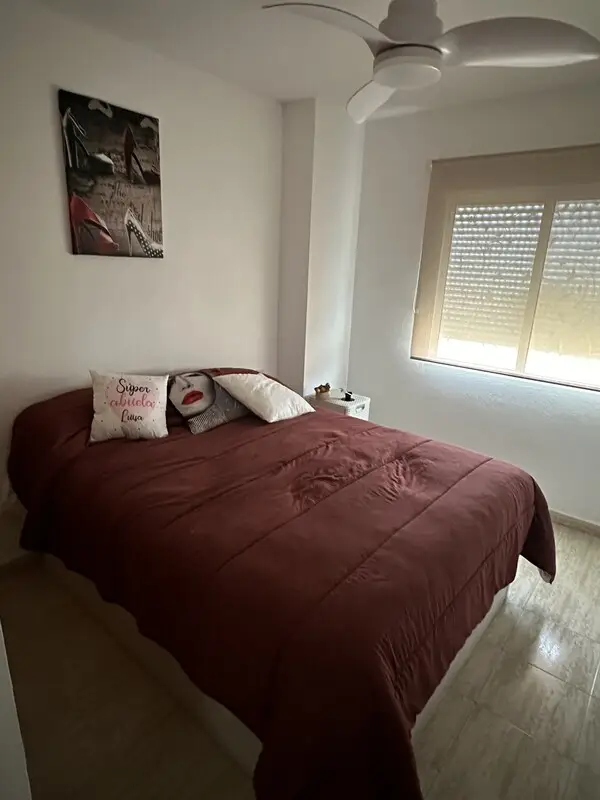 Habitacion Alquiler Torrevieja Cerca Playa Piscina Internet