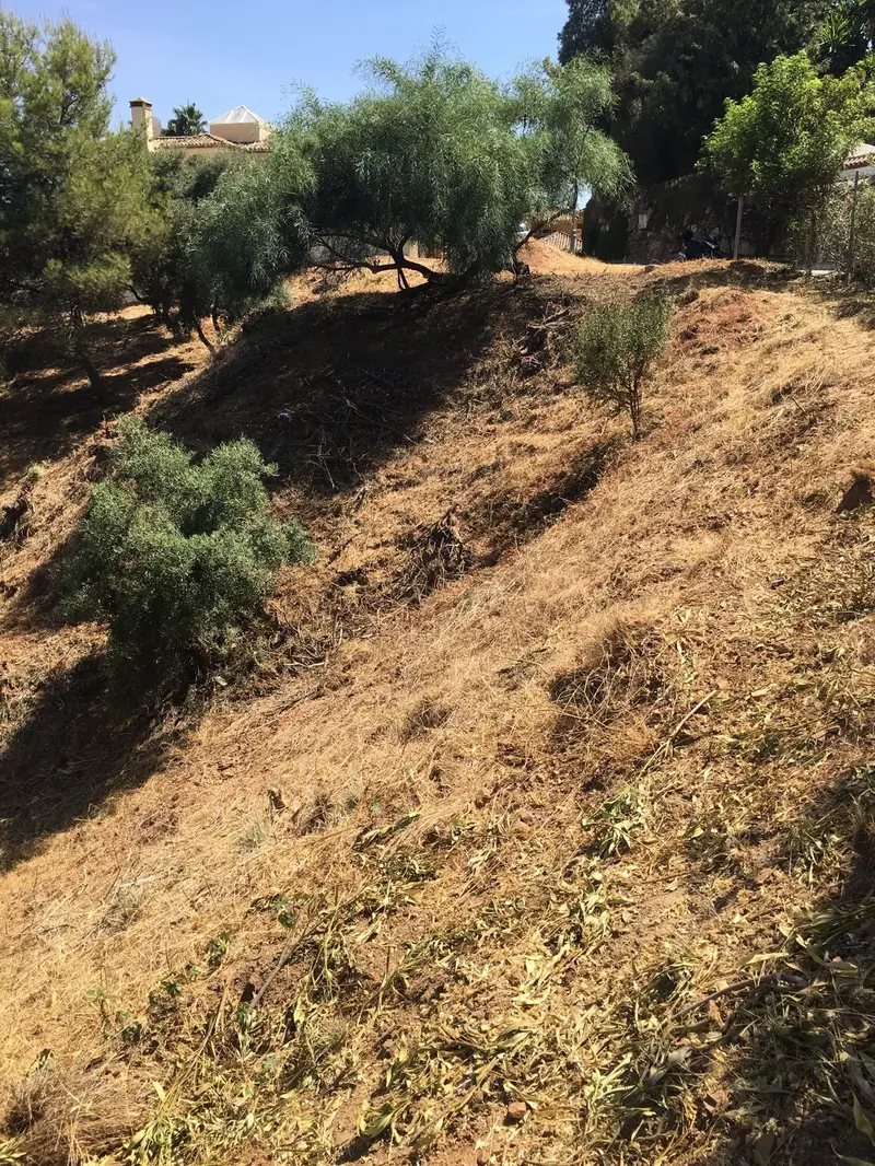 Terreno en Venta Elviria - Proyecto Incluido - 1860m2