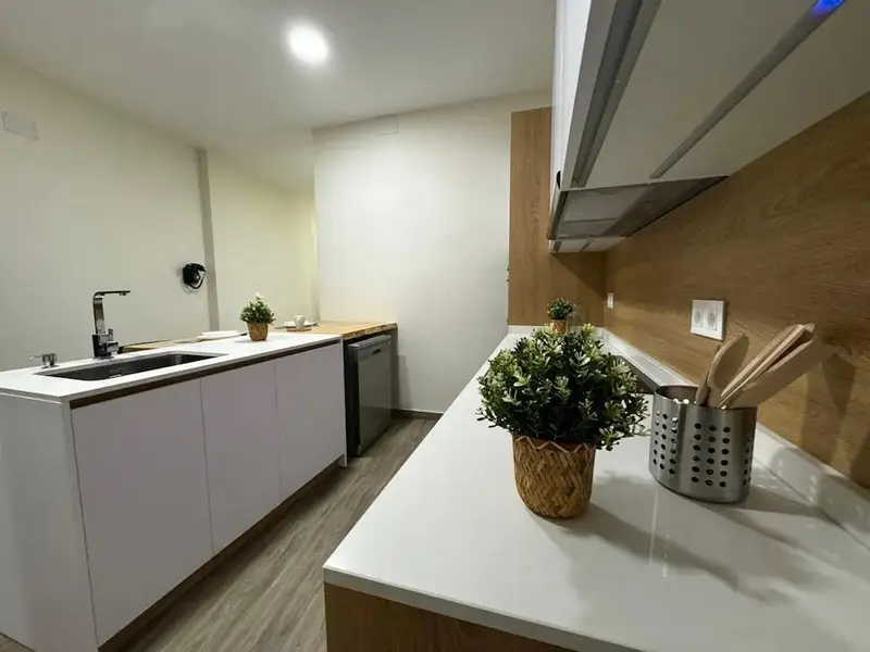 Casa en Alquiler Plaza Tirso Molina Madrid 1 Dormitorio