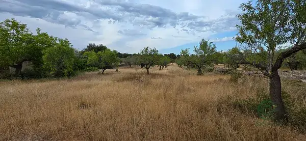 Finca Rustica 451ha L Ametlla de Mar Costa Dorada