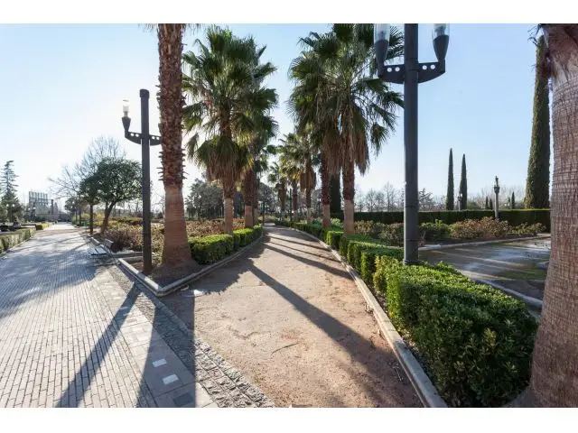 Local Comercial en Venta Arabial 200m2 Junto Parque Lorca