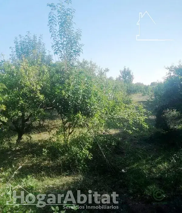 Terreno Rustico Agricola en Castellon Costa Del Azahar