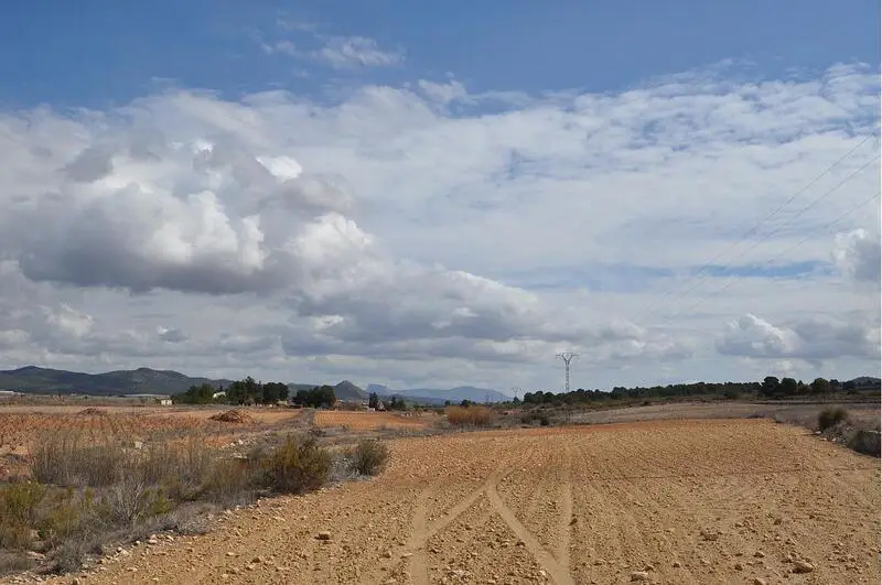 Terrenos en venta
Pinoso, Alicante