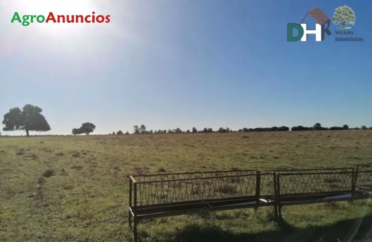 Venta  de Finca de caza con casa en Cáceres