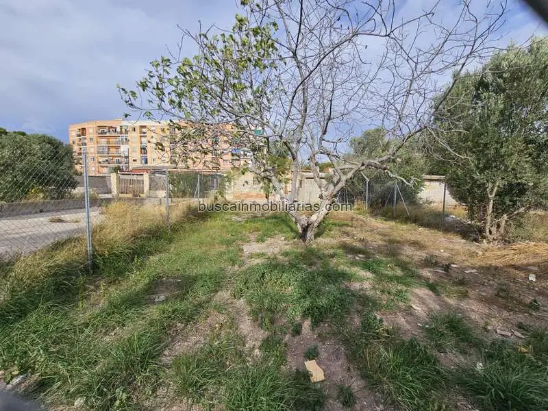 Parcela Rustica 187m2 Benimamet Valencia Huerta Ecologica