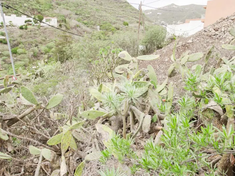 Terrenos en venta en Santa Cruz De Tenerife