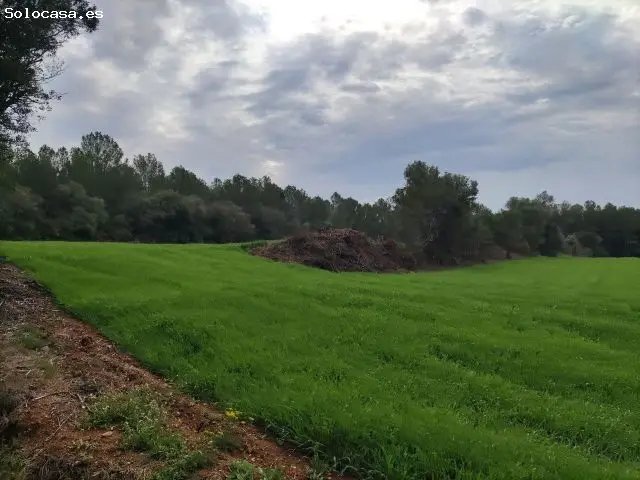 Finca Rustica en Venta Vilopriu Girona