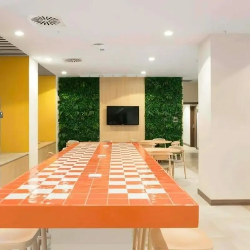 Estudio para Estudiantes en Pamplona