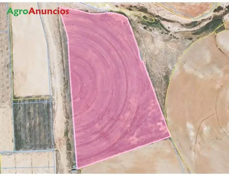 Venta  de Finca de regadío en Zaragoza