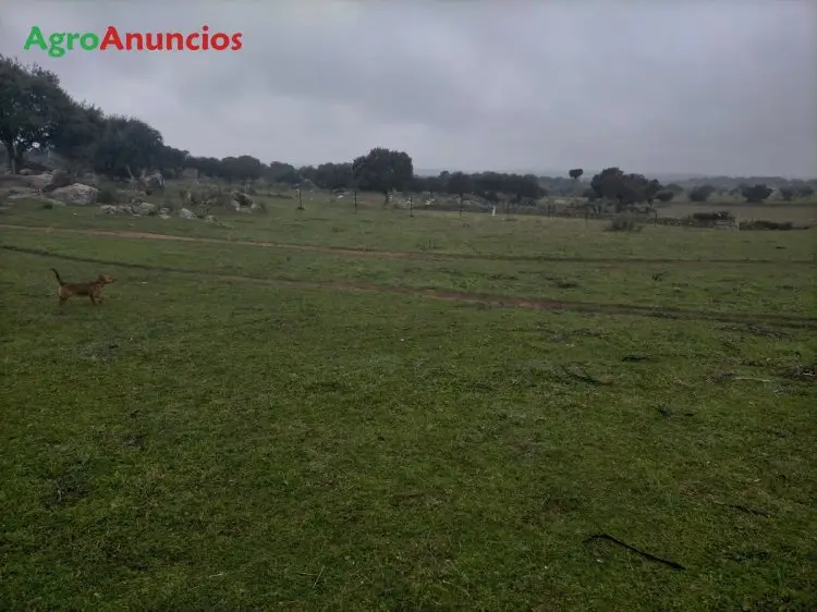 Venta  de Finca rústica en Cáceres