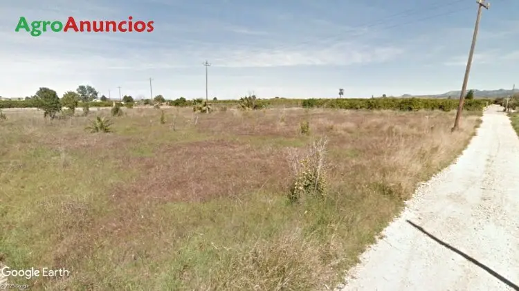 Venta  de Finca de suelo urbanizable para huerto en Valencia