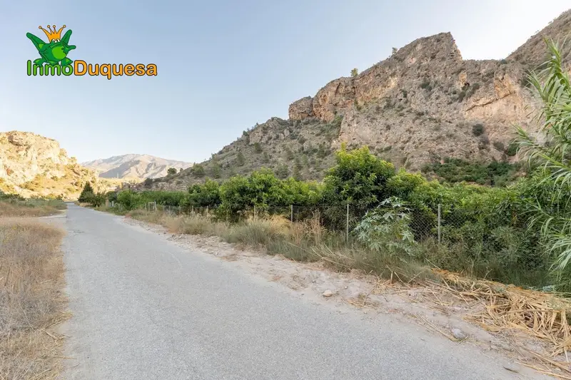 Finca Rustica 80000m2 Velez Benaudalla Granadas