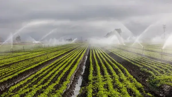Finca de 120 Hectareas en Ciudad Real Riego