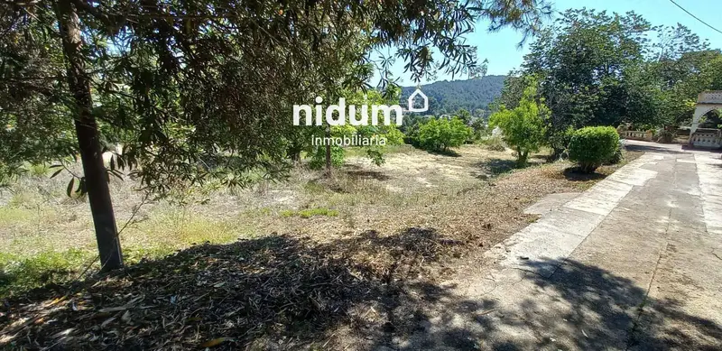 Chalet en venta Xativa Valencia 5700m2