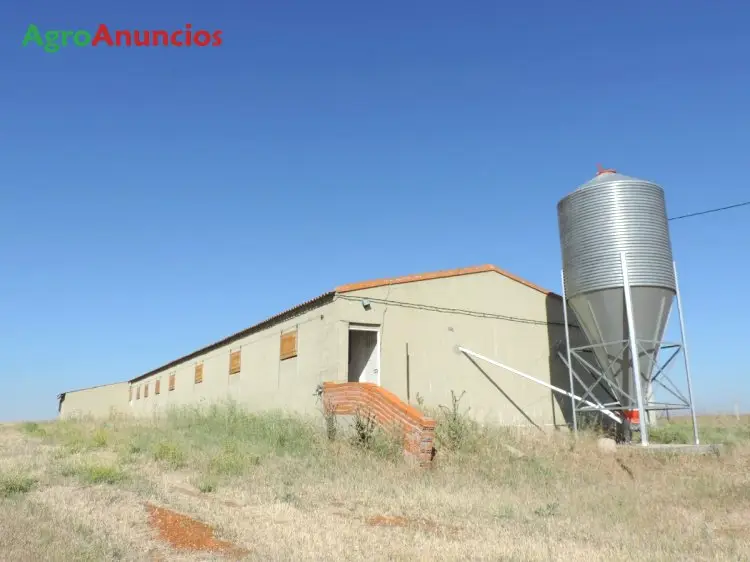 Venta  de Finca de regadío con explotación ganadera en Salamanca