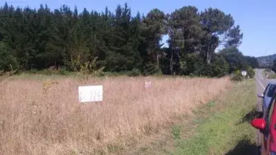 Finca Rustica en Venta Frayalde 8000m2 Edificable