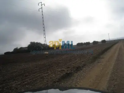 Finca Rustica 71 Hectareas Sevilla Subvencion Caserio