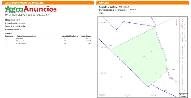 Venta  de Finca rústica de encinar y pastos en Salamanca