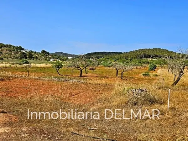 Solar Rustico Edificable 91700m2 Sant Mateu dAlbarca