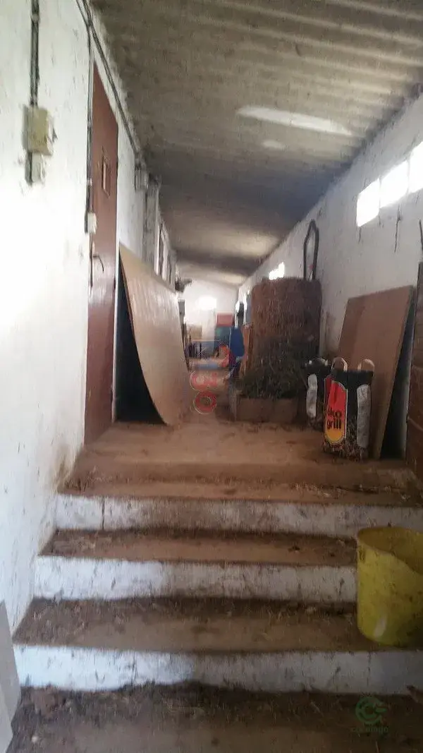 Pabellon 600m2 con terreno 04ha y huerto Burgos Miranda