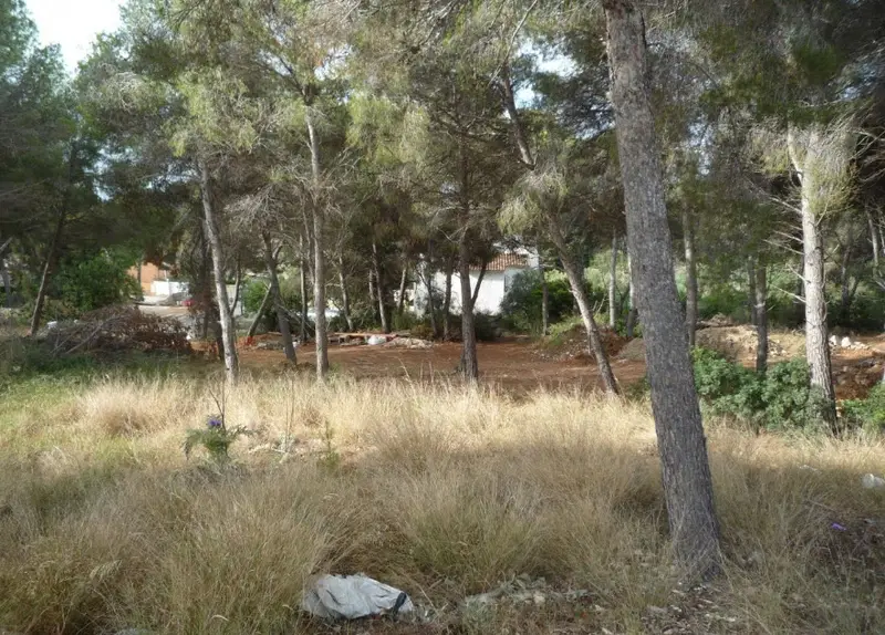 Terrenos en Venta Moraira -  3 Parcelas Edificables