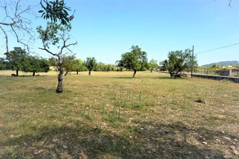 Finca Rústica en Artà Gran Terreno Agrícola Molino Antiguo