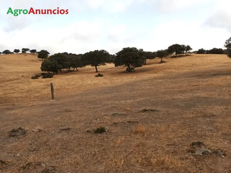 Venta  de Finca con dehesa en Jaén