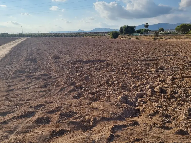 Venta Terreno Rojales Los Montesinos 30000m2 Edificable