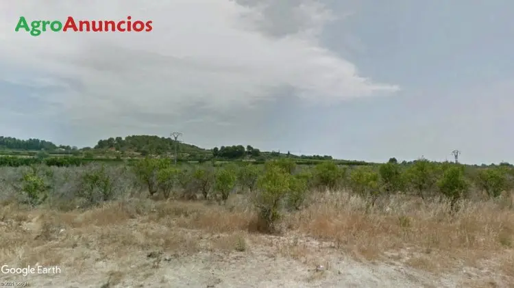 Venta  de Finca de regadío en Valencia